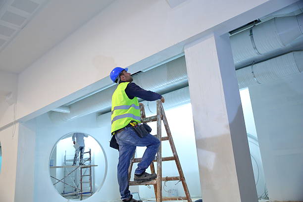 Best Basement Mold Removal  in Boulder, MT